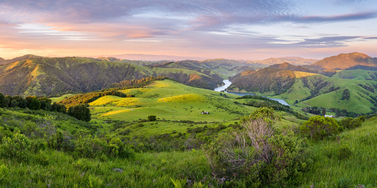 Rolling green hills of Spring Valley Ranch at sunset, with cattle grazing in the valley below and the Soulajule Reservoir winding through the landscape, surrounded by protected Marin County ranchland.