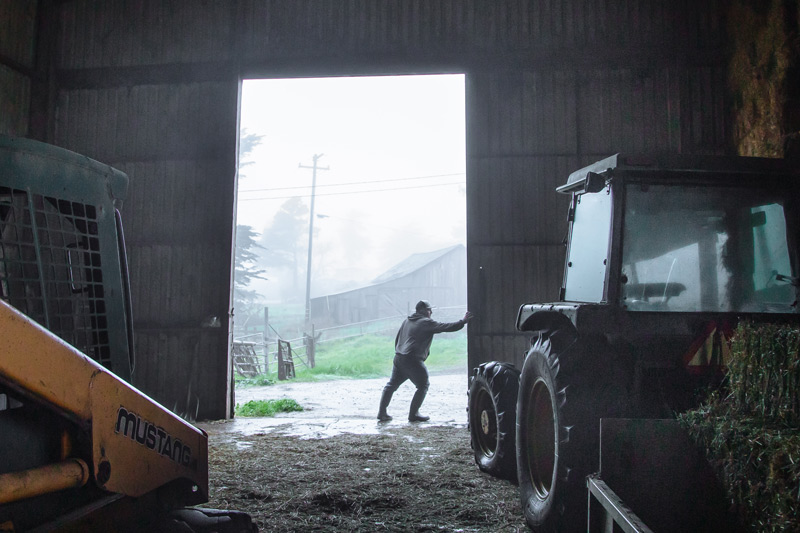 Rancher closing large barn door with tractor visible inside and foggy pastures in background at Marshall Home Ranch.