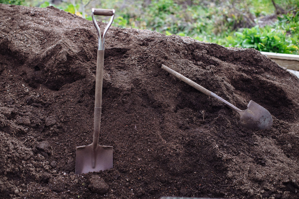 Rich compost at Marin Roots Farm, Volpi Ranch, Marin County.