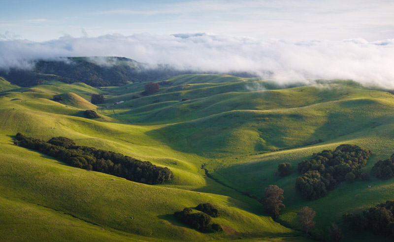 Aerial photograph of dramatic rolling green hills with fog settling in valleys, scattered oak groves in canyon folds, and coastal mountains visible in the distance