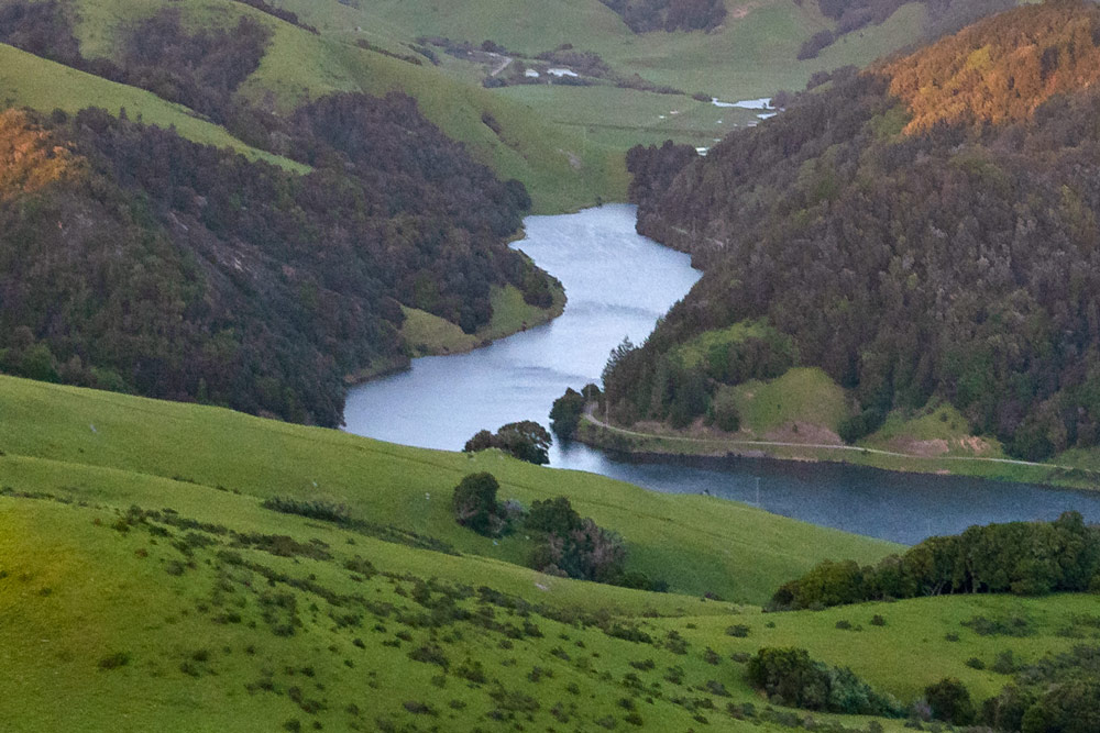 The Soulajule Reservoir winding through green ranchland hills at Spring Valley Ranch, surrounded by mixed grassland and forest in Marin County.