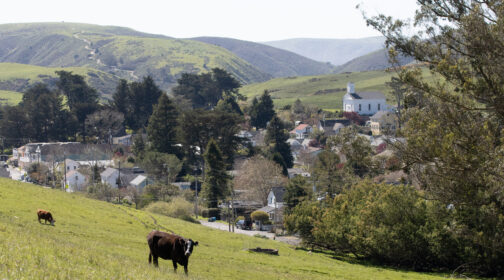 Quang cảnh trang trại Tunnel Hill ở Tomales.