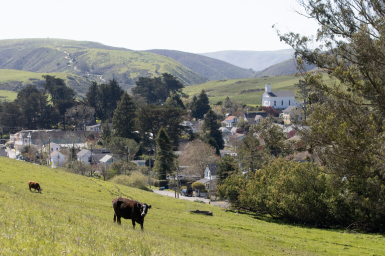 View of Tunnel Hill Ranch in Tomales.