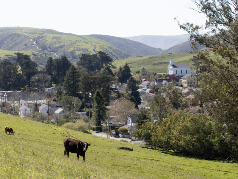 View of Tunnel Hill Ranch in Tomales.