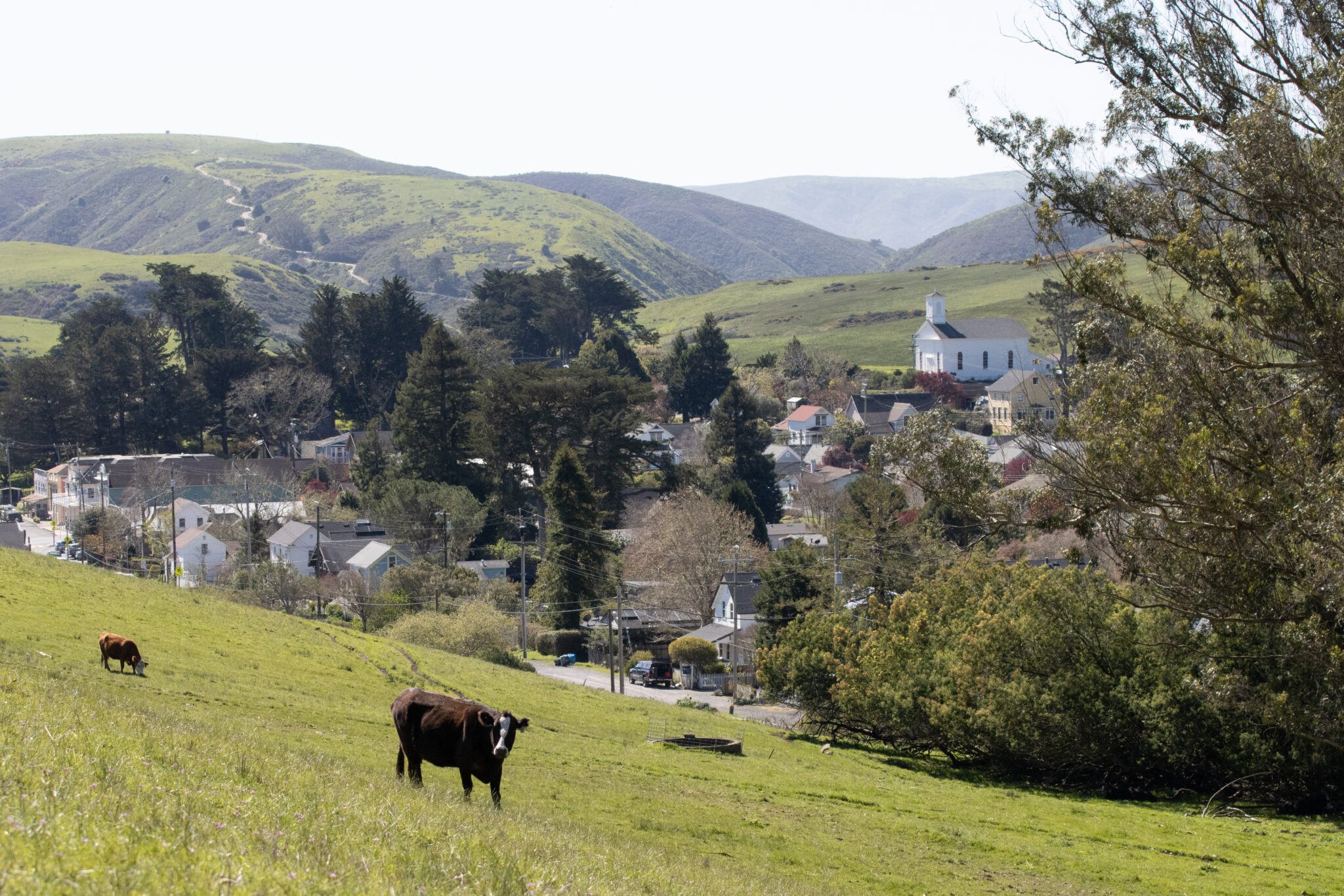 View of Tunnel Hill Ranch in Tomales.